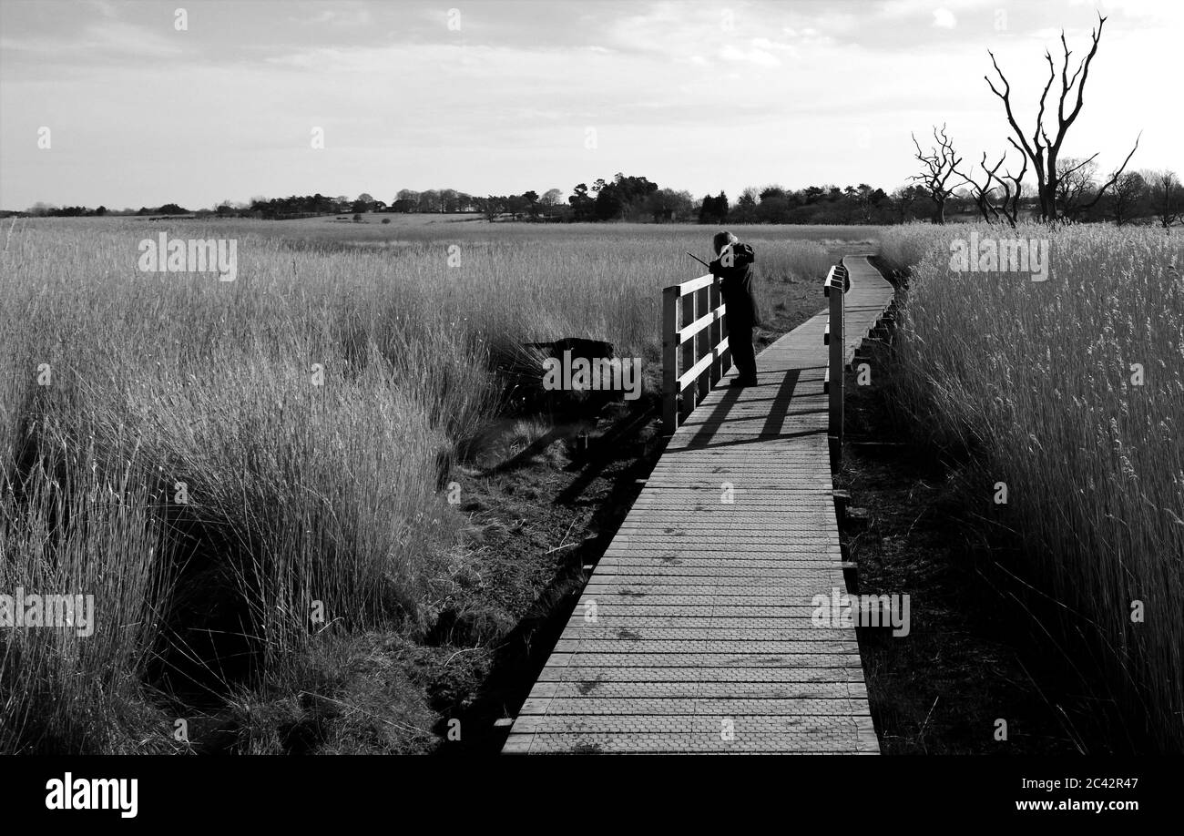 Snape maltings Aldeburgh Suffolk Foto Stock