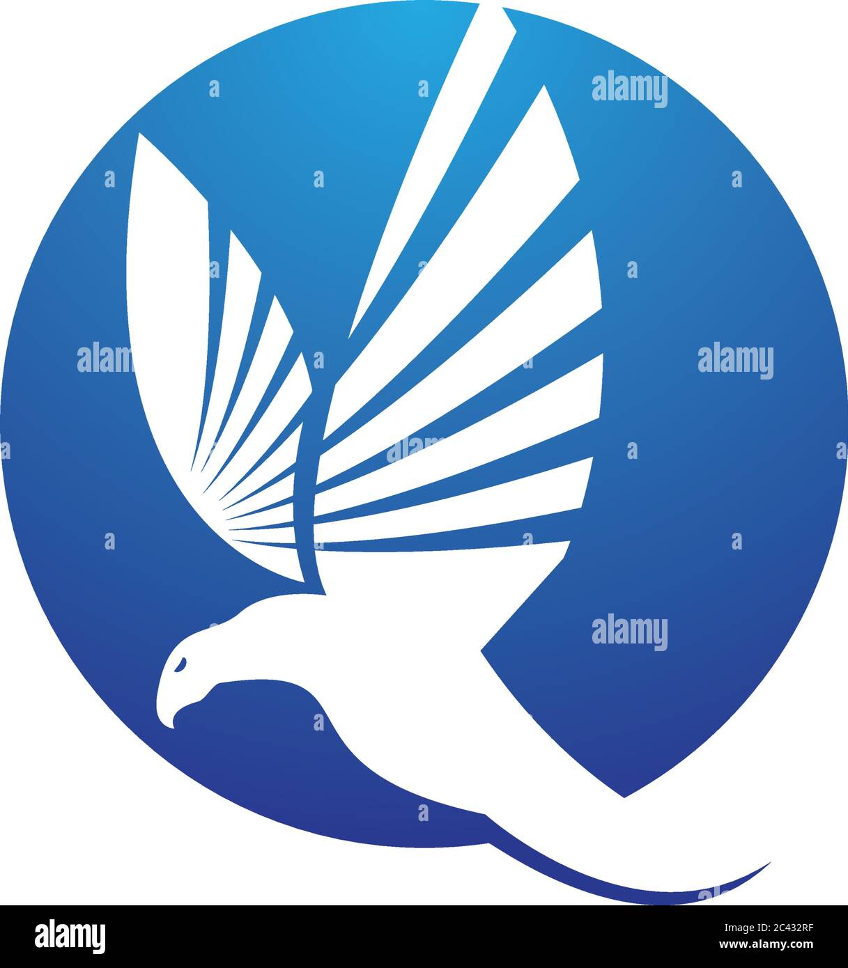 Falcon Eagle Bird modello Logo icona vettore Illustrazione Vettoriale