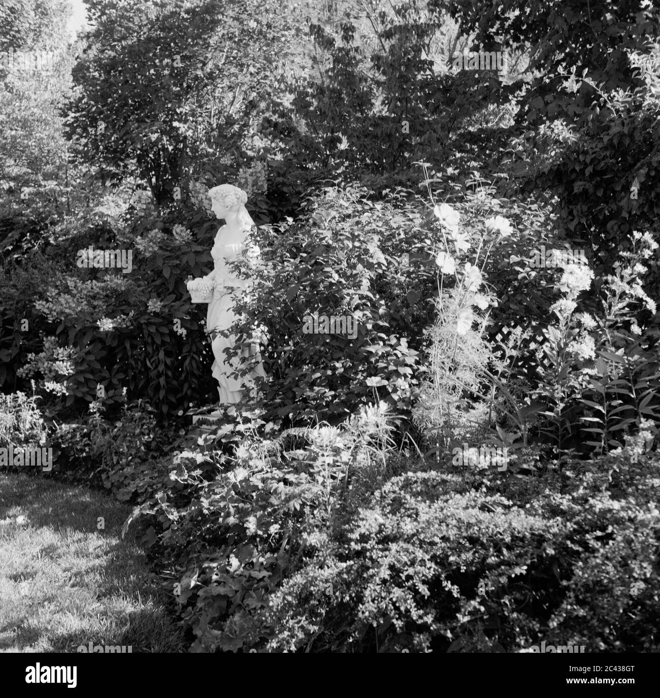 Statua classicista in un giardino, Hudson Valley, New York, USA Foto Stock
