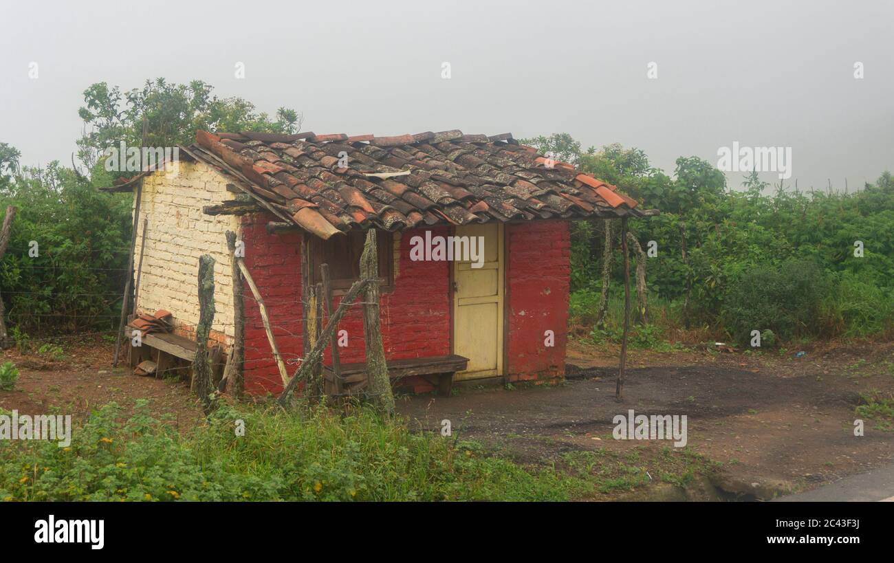 Piccolo cottage trascurato fatto di mattoni con tetto di vecchie piastrelle di argilla nel mezzo di piante verdi in giorno nuvoloso Foto Stock
