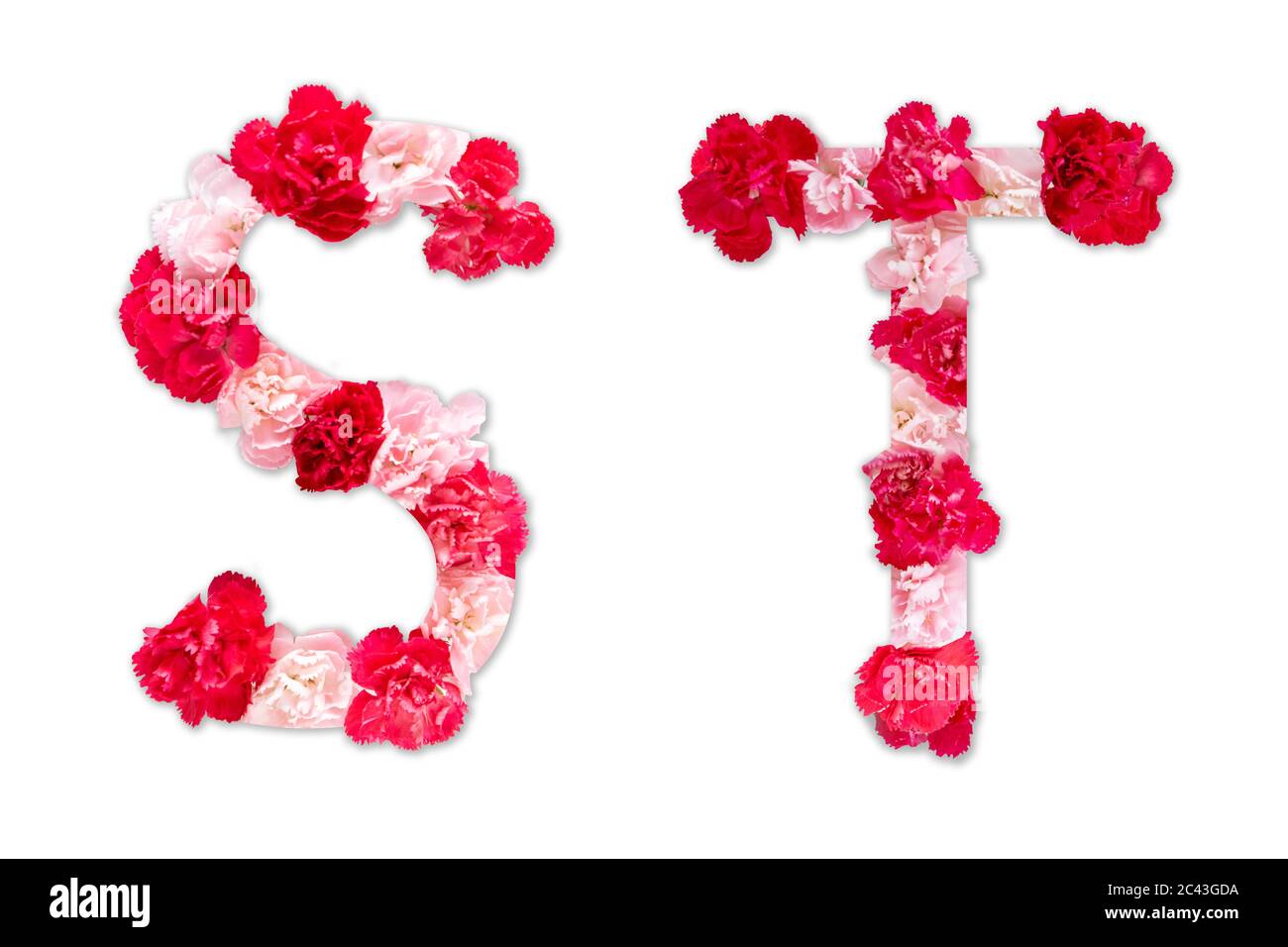 Caratteri del fiore alfabeto S T Set (collezione A-Z), fatto da fiori di garofano reale rosa, colore rosso con carta tagliata forma di lettera maiuscola. Carattere flora Foto Stock