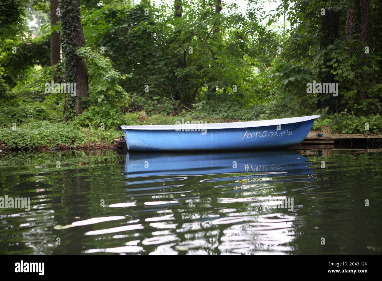 Canottaggio su un fiume, Spreewald, Lübbenau, Brandeburgo, Germania Foto Stock