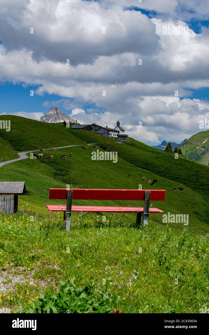 Sitzbank in den Alpen, Aussicht über das Lechtal, vista sulla valle di Lech, Urlaub in Österreich, Sommerurlaub, erholsame Zeit, Berglandschaft, Foto Stock
