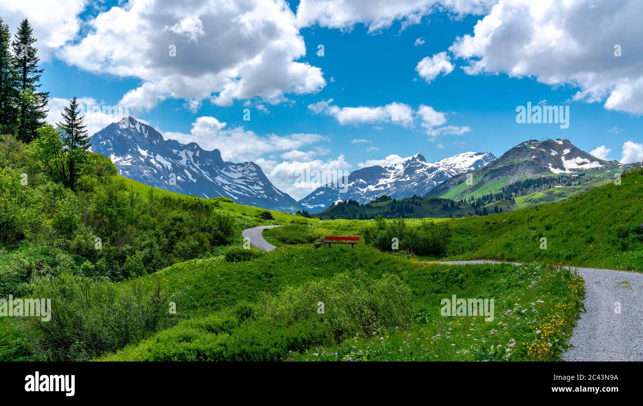 blumenübersäten und Bergwälder von bereich von Schneefeldern, Alpwiesen und Vorratshütten,  , Vorarlberg Foto Stock