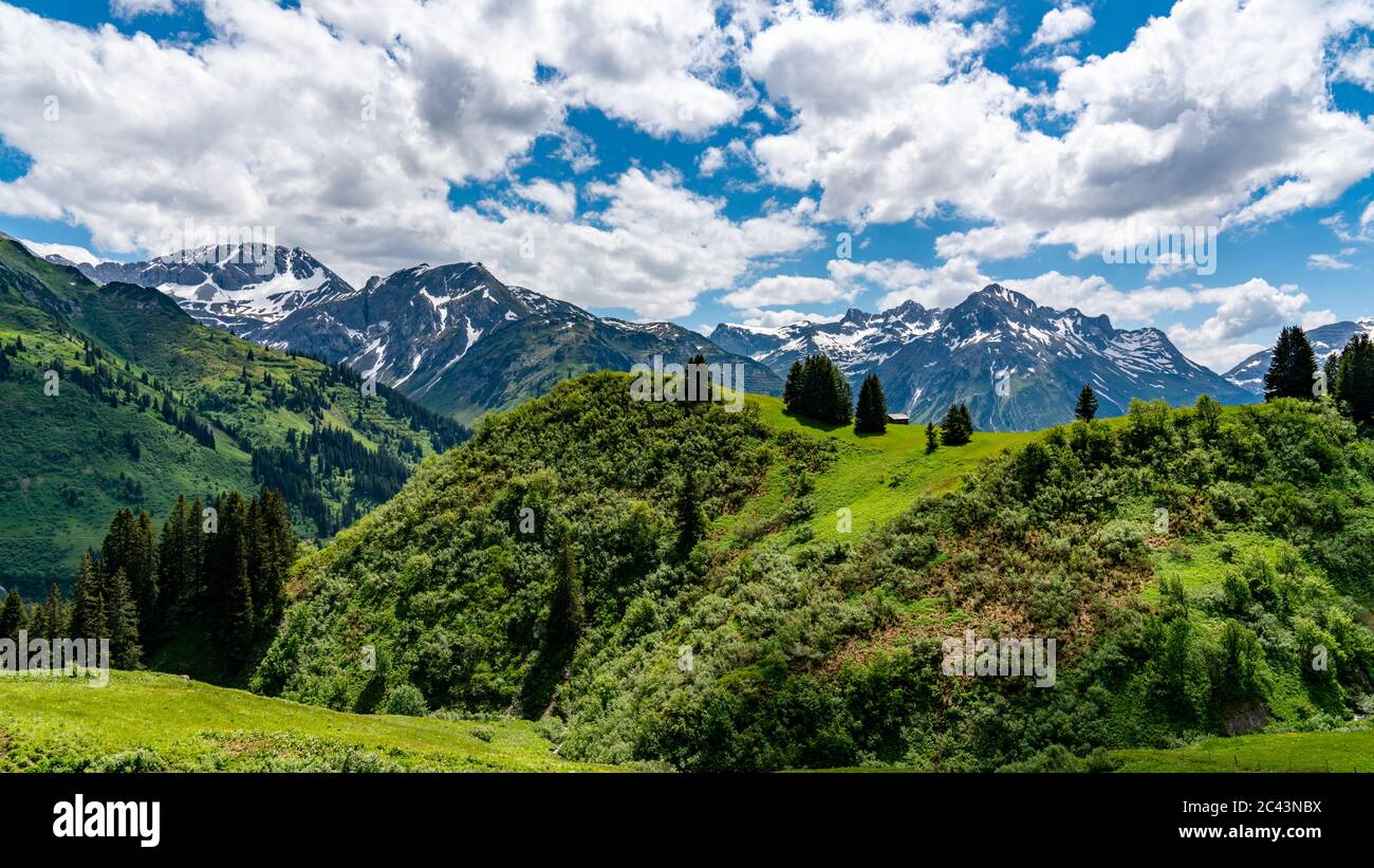 blumenübersäten und Bergwälder von bereich von Schneefeldern, Alpwiesen und Vorratshütten,  , Vorarlberg Foto Stock