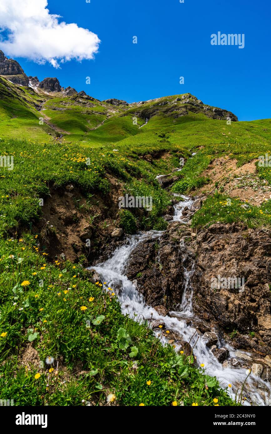 Bäche fliessen vom Karhorn herunter zum Lech, Blumenwiesen erfreuen die Wanderer, Landschaft bei Warth, Lechtal, Vorarlberg, Österreich, blauer Himmel Foto Stock