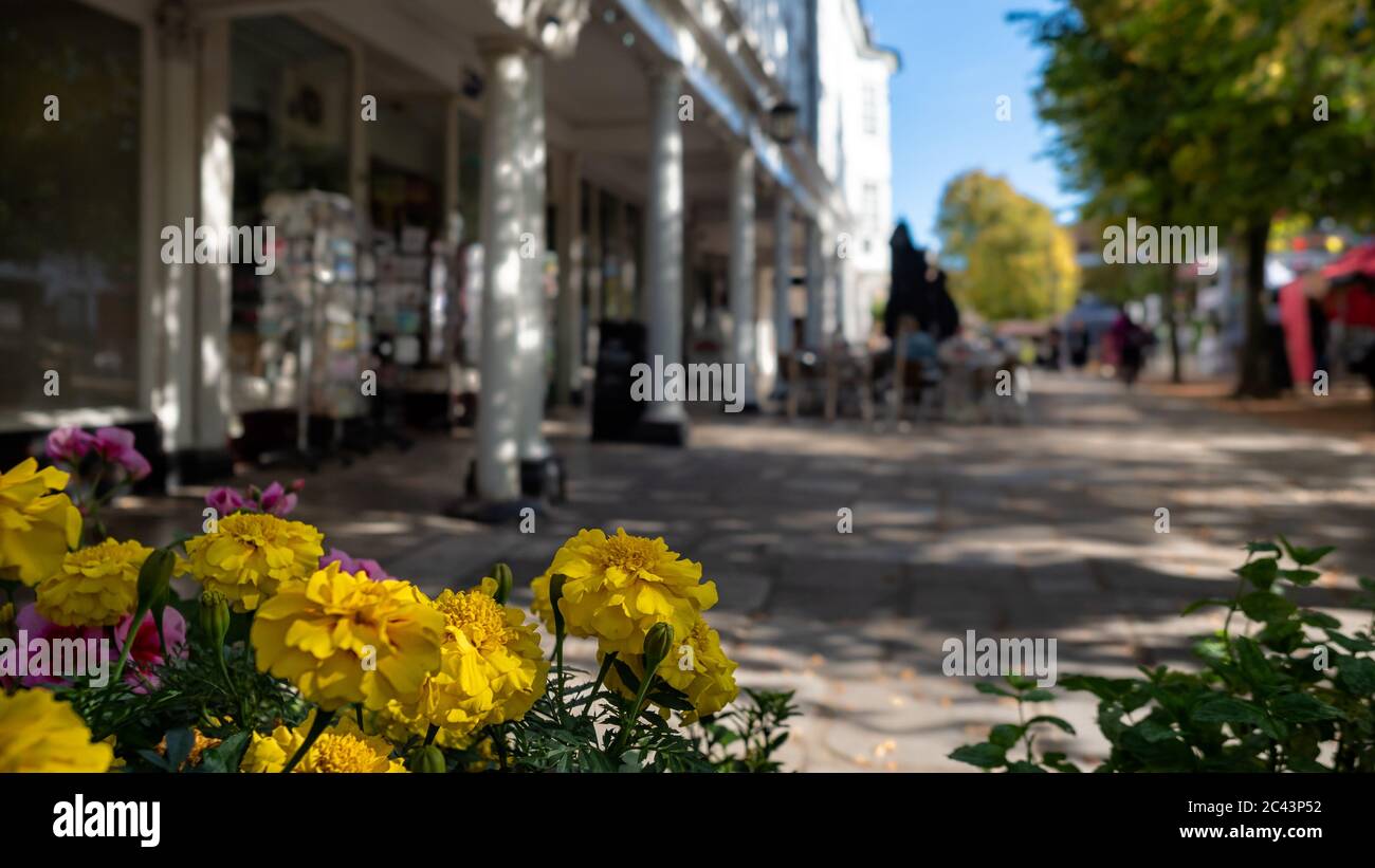 ROYAL TUNBRIDGE WELLS, KENT, Regno Unito - 15 SETTEMBRE 2019: Vista sfocata dei pantili sopra i fiori dell'assestamento dell'estate Foto Stock