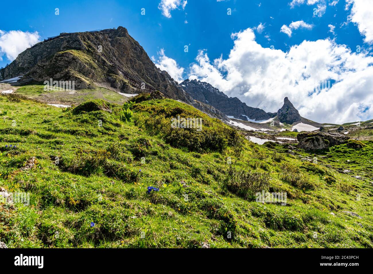 Bäche fliessen vom Karhorn herunter zum Lech, Blumenwiesen erfreuen die Wanderer, Landschaft bei Warth, Lechtal, Vorarlberg, Österreich, blauer Himmel Foto Stock