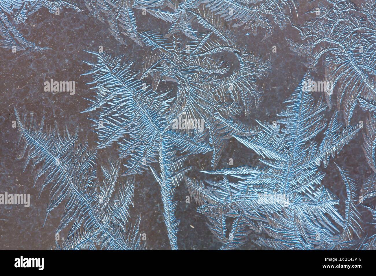 Modelli su vetro nel gelido inverno giorno. Foto Stock