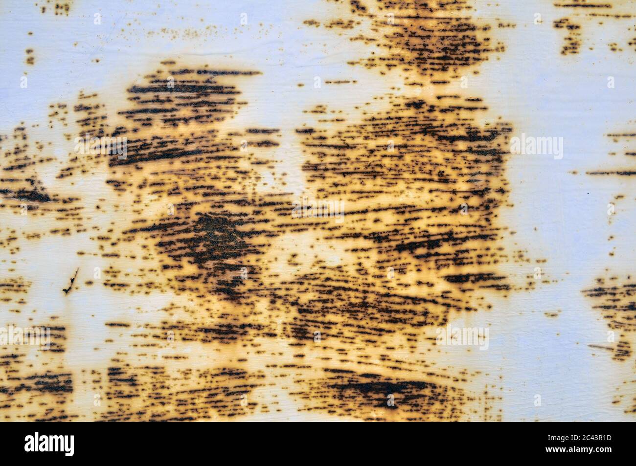 Parete in metallo verniciato bianco arrugginito. Fondo metallico arrugginito con striature di ruggine. Macchie di ruggine. La superficie metallica arrugginita. Foto Stock