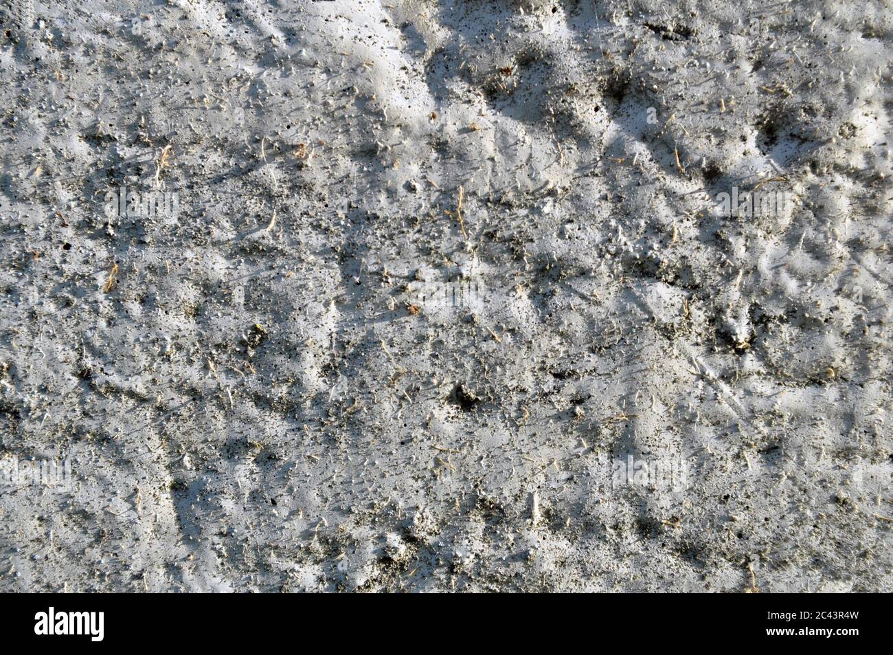 Textra di superficie in calcestruzzo. Costruzione e riparazione. Foto Stock