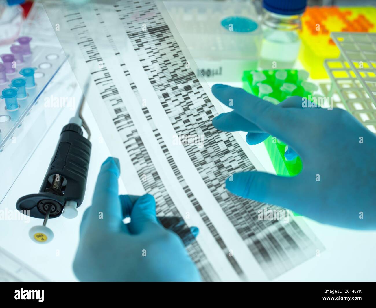 Mani di scienziati che indossano guanti chirurgici che analizzano il grafico dei risultati del sequenziamento del DNA Foto Stock