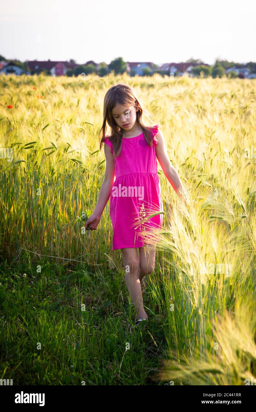 Ritratto di bambina camminando sul bordo del campo di segale Foto Stock