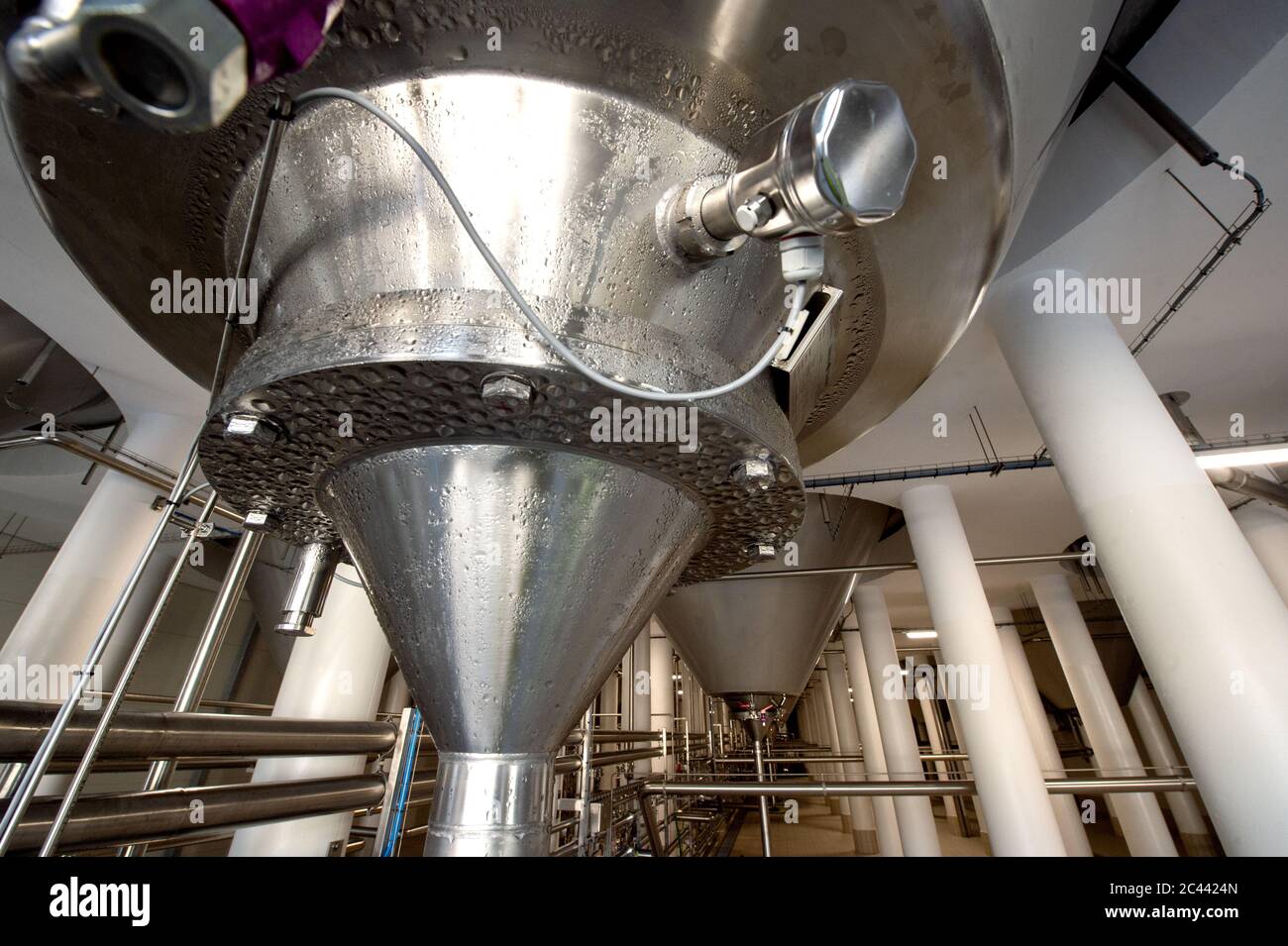 Ceske Budejovice, Repubblica Ceca. 22 Giugno 2020. La Birreria Budejovicky Budvar (nella foto Juine 22, 2020) ha generato un fatturato netto record di Kc3bn nel 2019, le sue vendite sono cresciate di Kc170m a Kc2.8bn e il suo profitto prima delle imposte è salito del 10.9% a Kc363.7m, Quale è stato il miglior risultato dal 2001, il capo della società Petr Dvorak (non illustrato) ha detto a Ceske Budejovice, Repubblica Ceca, 24 giugno 2020. Credit: Vaclav Pancer/CTK Photo/Alamy Live News Foto Stock