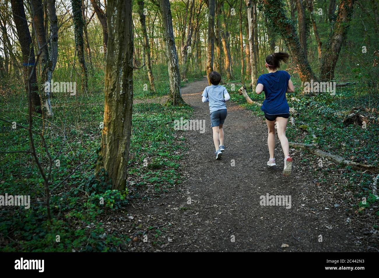 Vista posteriore completa dei fratelli che si jogging tra gli alberi nella foresta Foto Stock