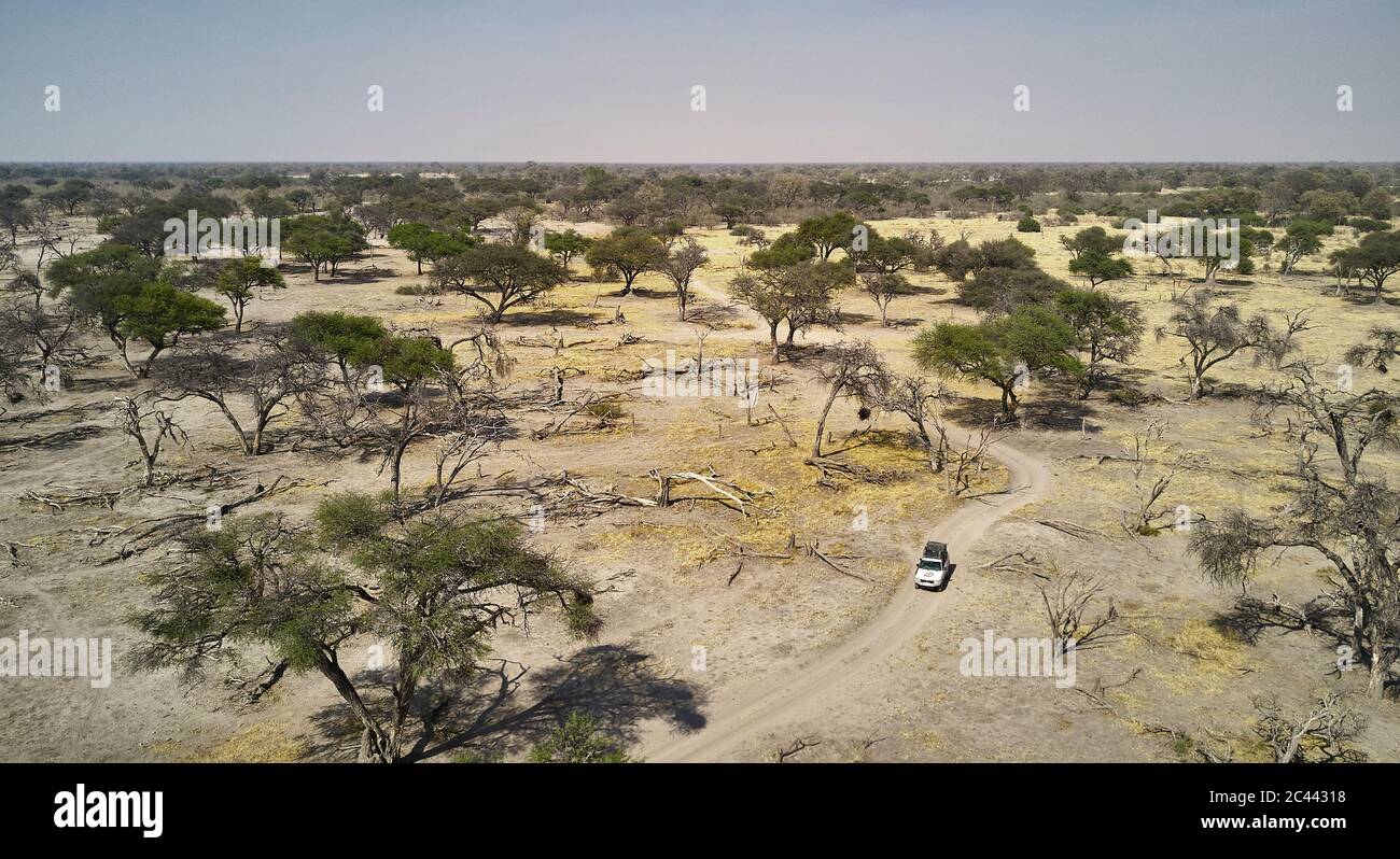 Vista aerea del veicolo fuoristrada tra alberi in un deserto semi-arido contro il cielo limpido Foto Stock