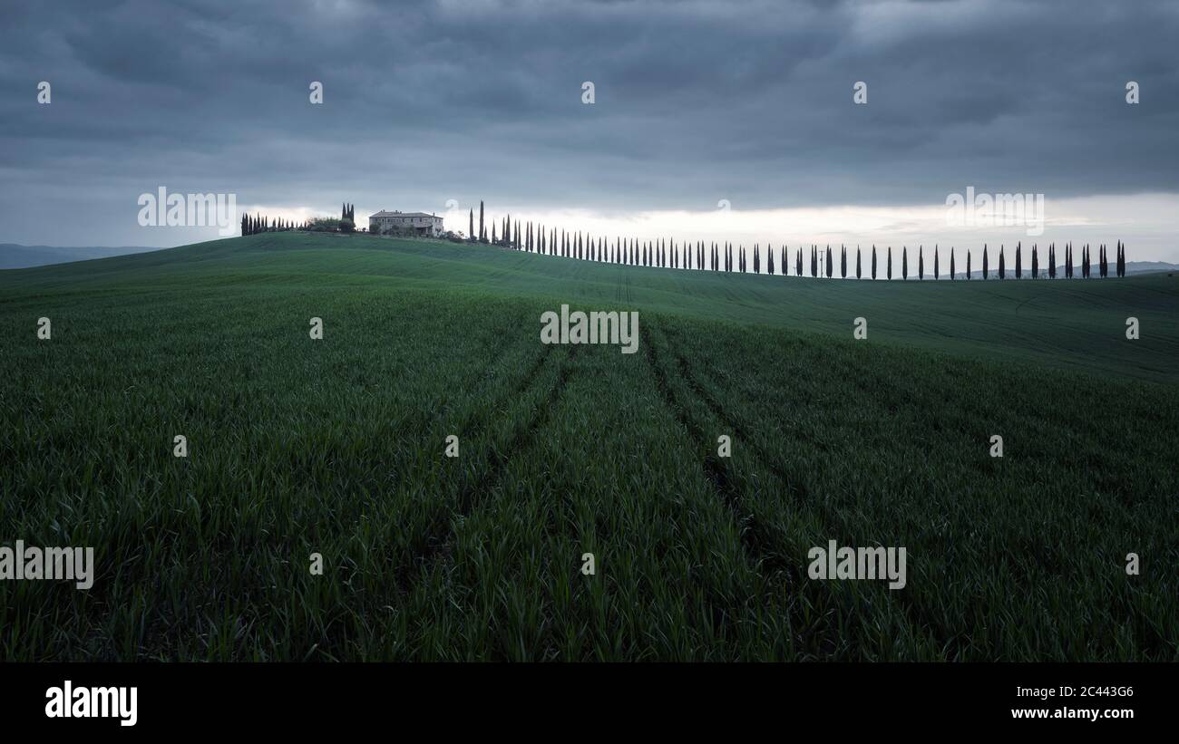 Italia, Toscana, nuvole di tempesta su prato verde erboso con linea di cipressi sullo sfondo Foto Stock