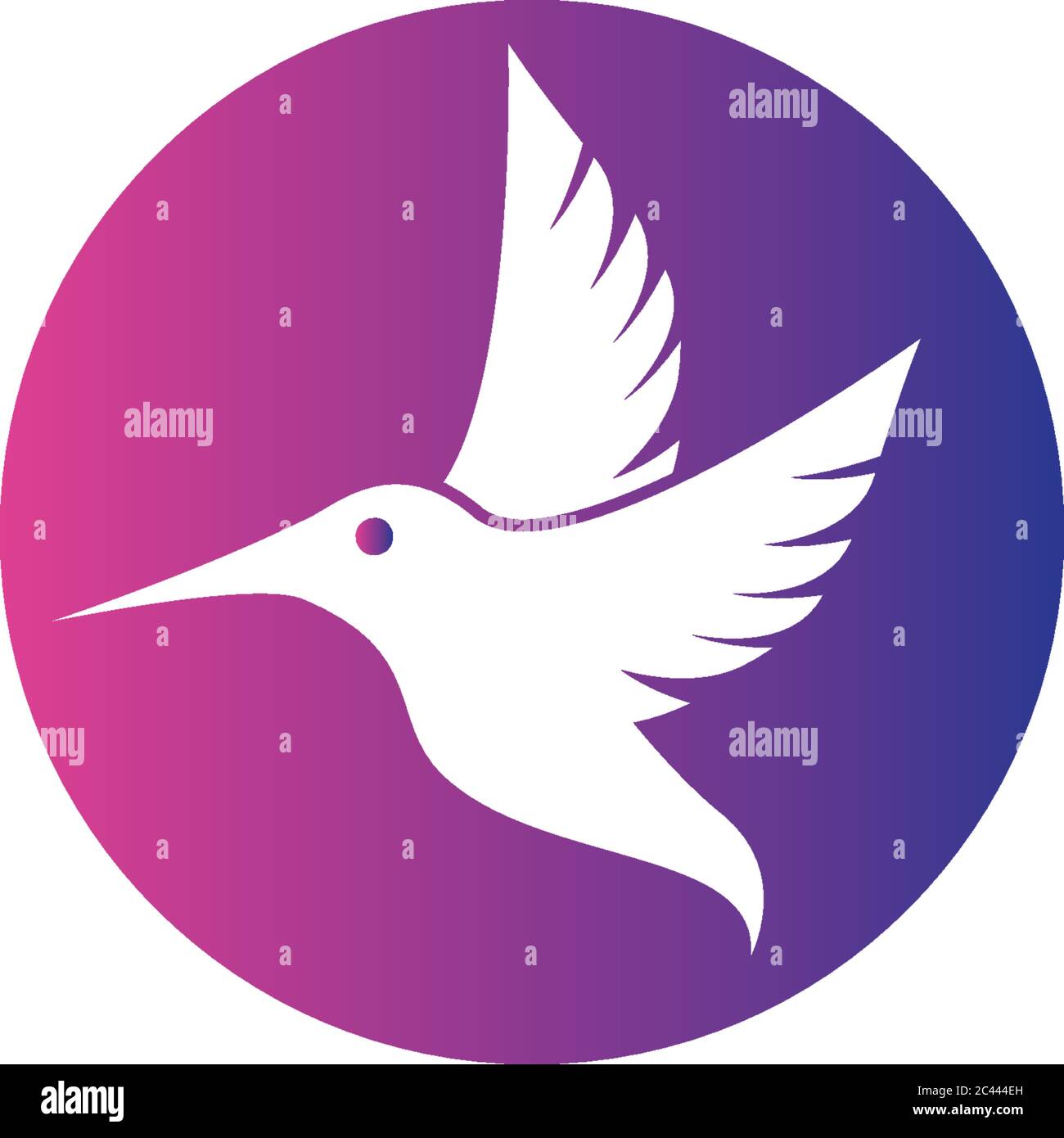 Modello di logo Hummingbird disegno di illustrazione di icone vettoriali Illustrazione Vettoriale