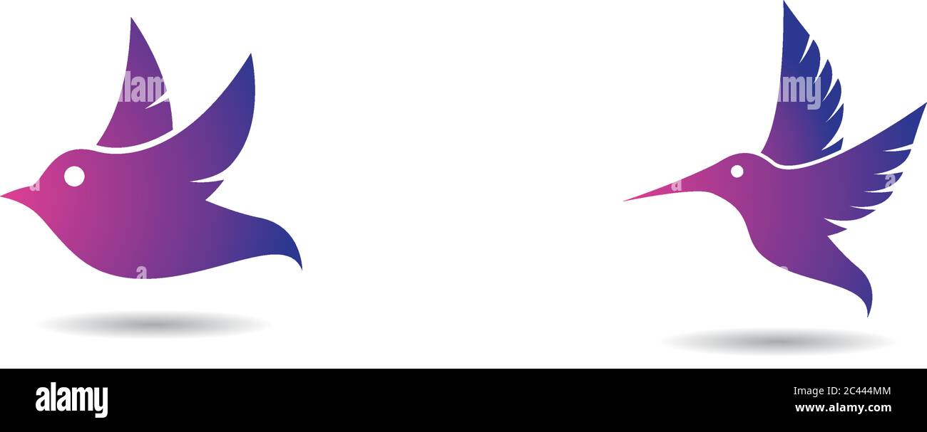 Modello di logo Hummingbird disegno di illustrazione di icone vettoriali Illustrazione Vettoriale