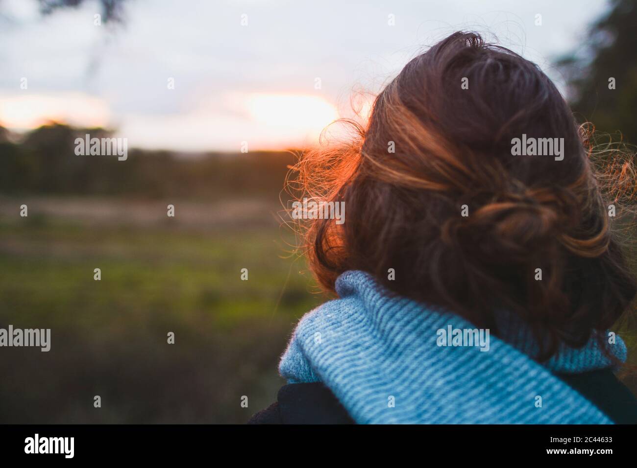 Giovane donna con capelli marroni contro il cielo nuvoloso in parco durante il tramonto, vista posteriore Foto Stock