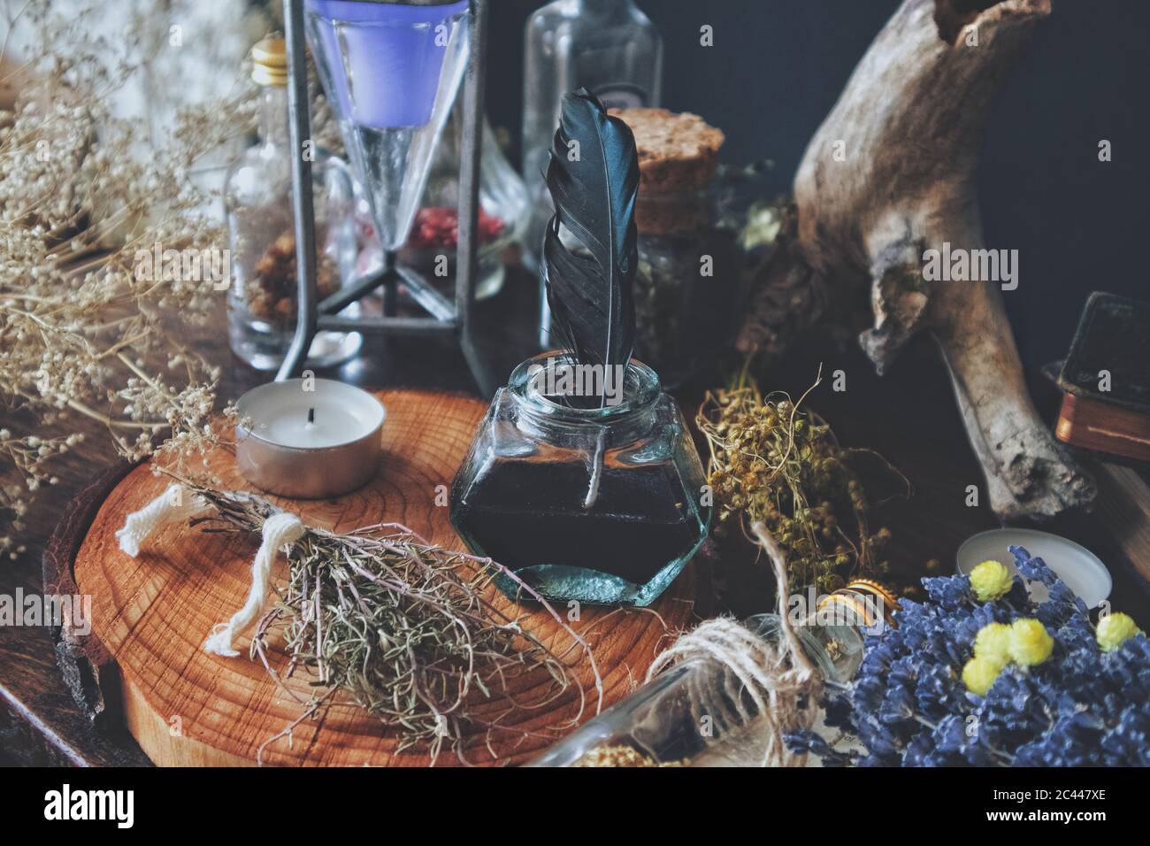 Piuma nera con tonalità verde smeraldo immersa in una bottiglia d'inchiostro di vetro antico d'epoca con inchiostro nero. Natura allestita con erbe secche, piante, fiori Foto Stock