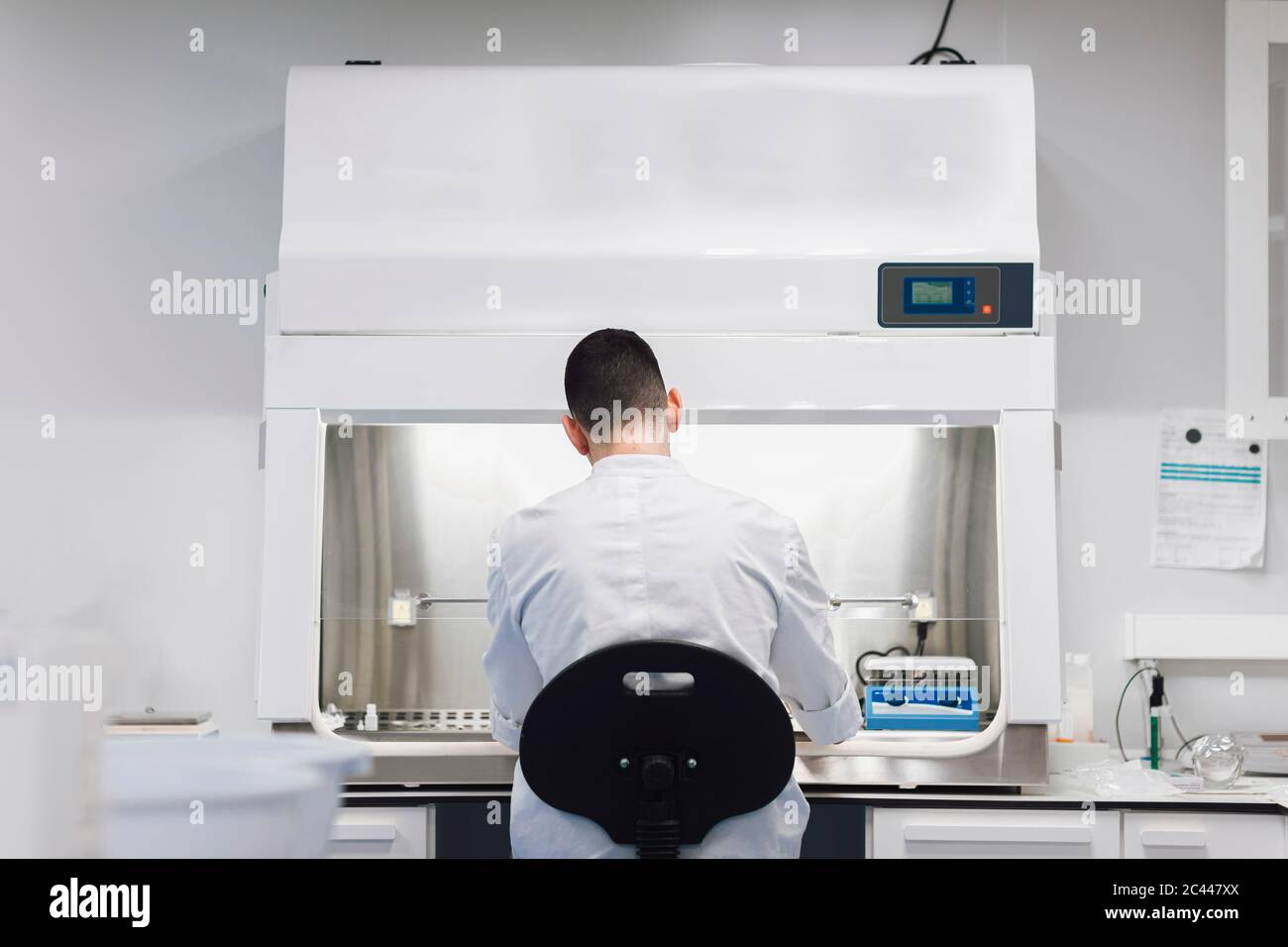 Giovane medico maschile che fa ricerche in laboratorio, vista posteriore Foto Stock