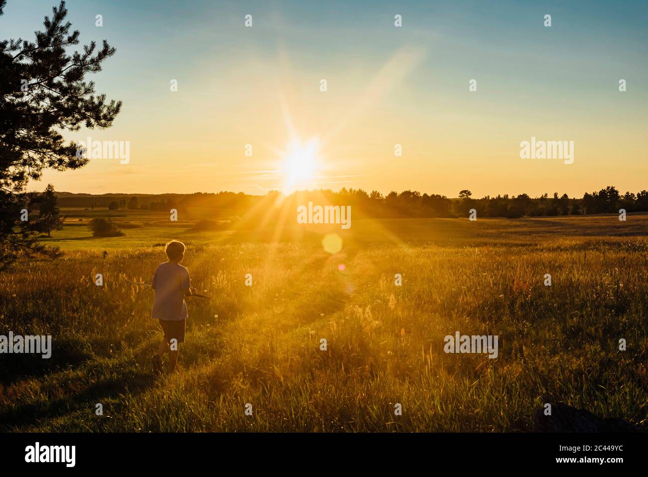 Vista posteriore del ragazzo giocando sul campo contro il cielo al tramonto, Polonia Foto Stock