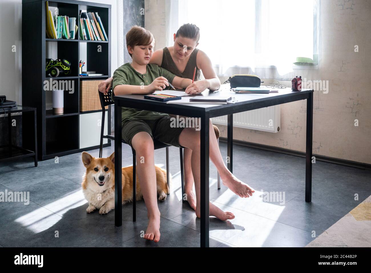 Madre che homeschooling suo figlio a casa Foto Stock