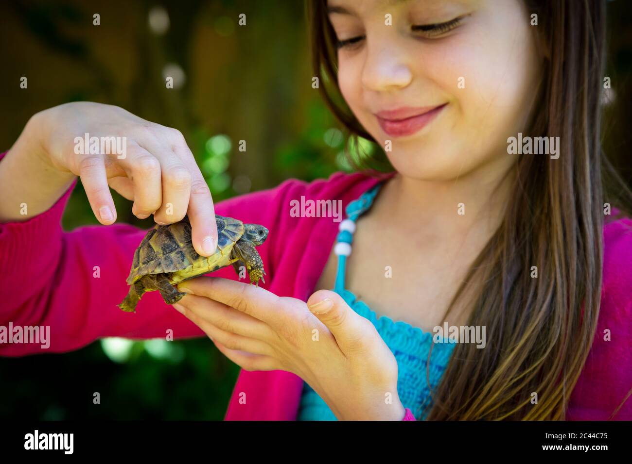 Sorridente le mani della ragazza che tiene piccola tartaruga Foto Stock