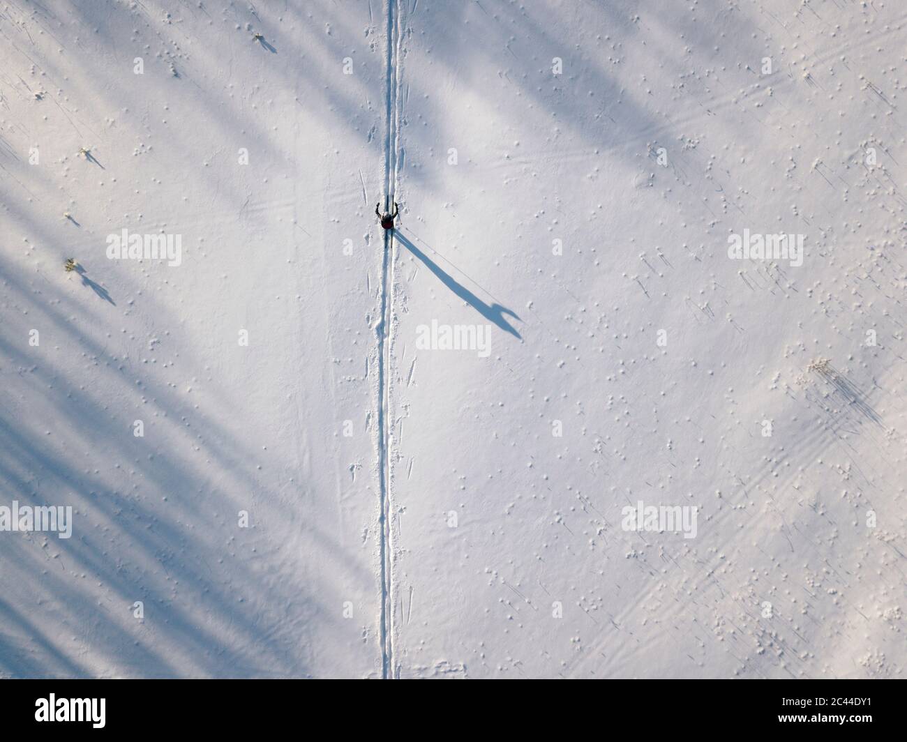 Russia, Leningrado Oblast, Tikhvin, vista aerea dello sciatore solitario in inverno Foto Stock