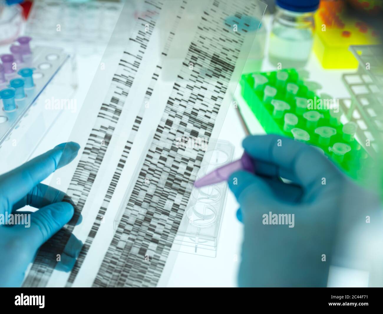 Mani di scienziati che indossano guanti chirurgici che analizzano il grafico dei risultati del sequenziamento del DNA Foto Stock