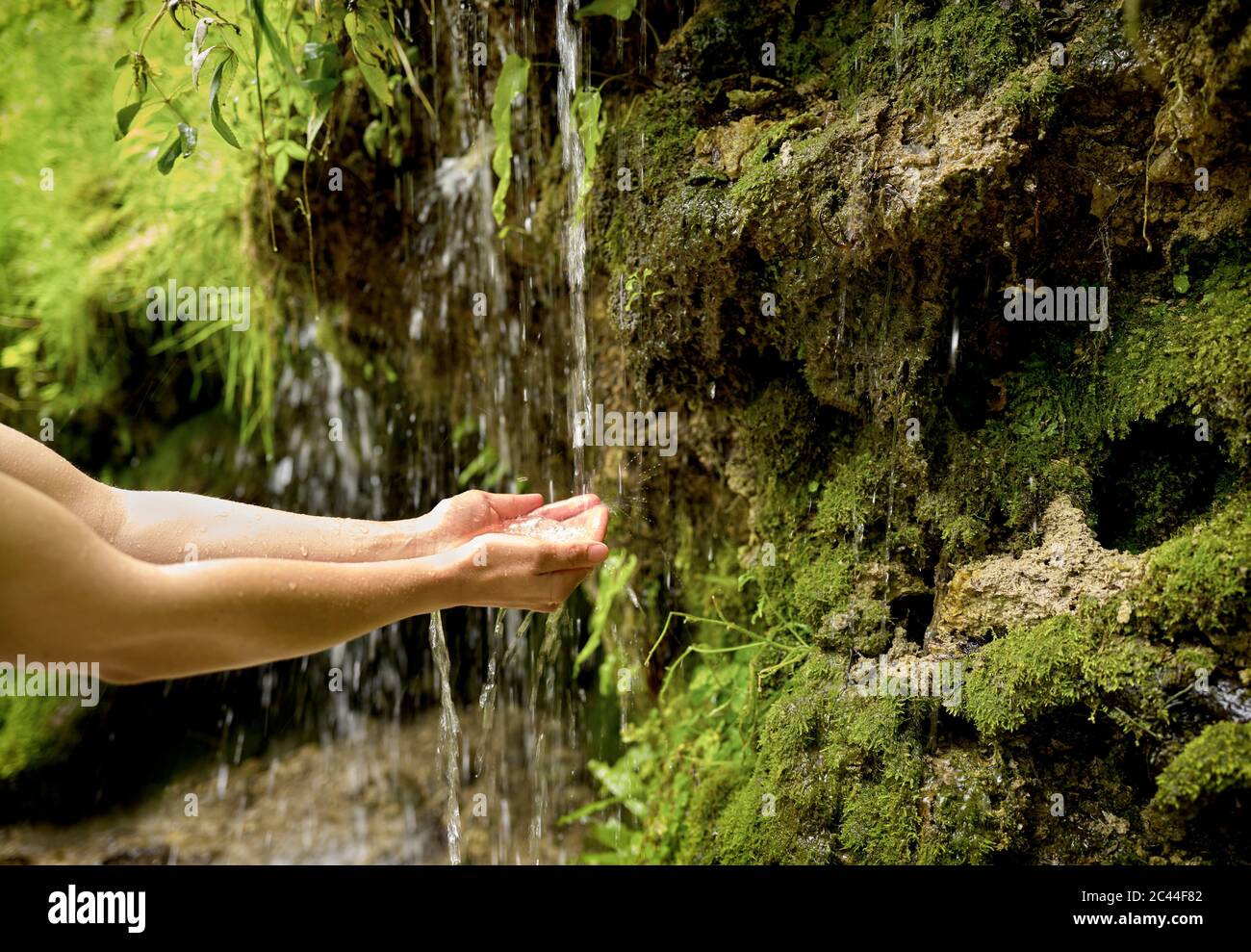 Donna con le mani imbutita sotto il trickle di cascata di Urach in foresta Foto Stock
