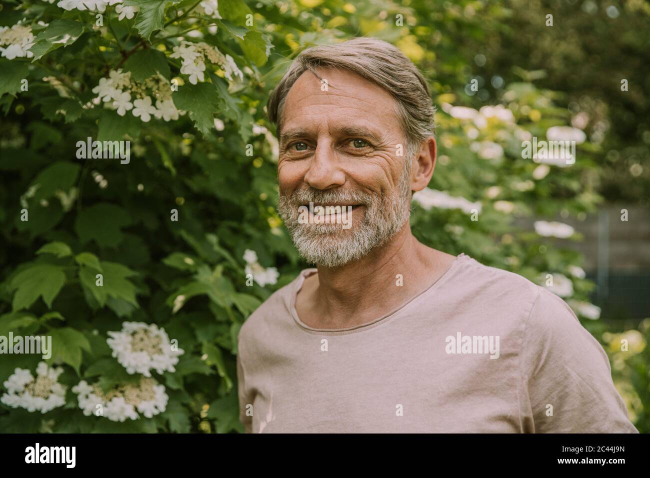 Sorridente uomo maturo sopportato in piedi da piante fiorenti in giardino Foto Stock