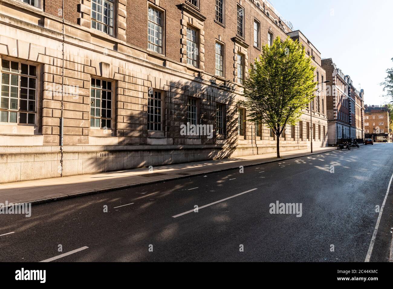 Regno Unito, Londra, strada vuota durante il coprifuoco con albero nel quartiere di Bloomsbury Foto Stock