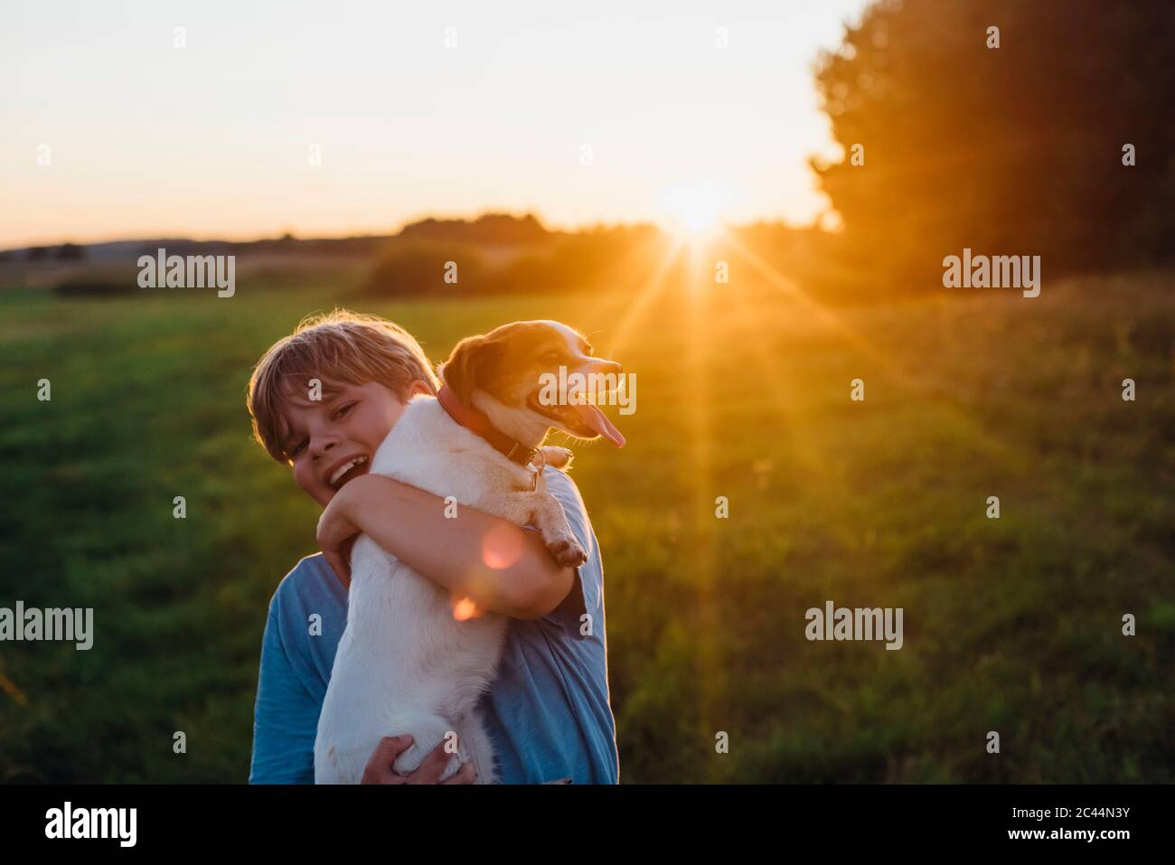 Giocoso ragazzo con cane sul campo durante il tramonto, Polonia Foto Stock
