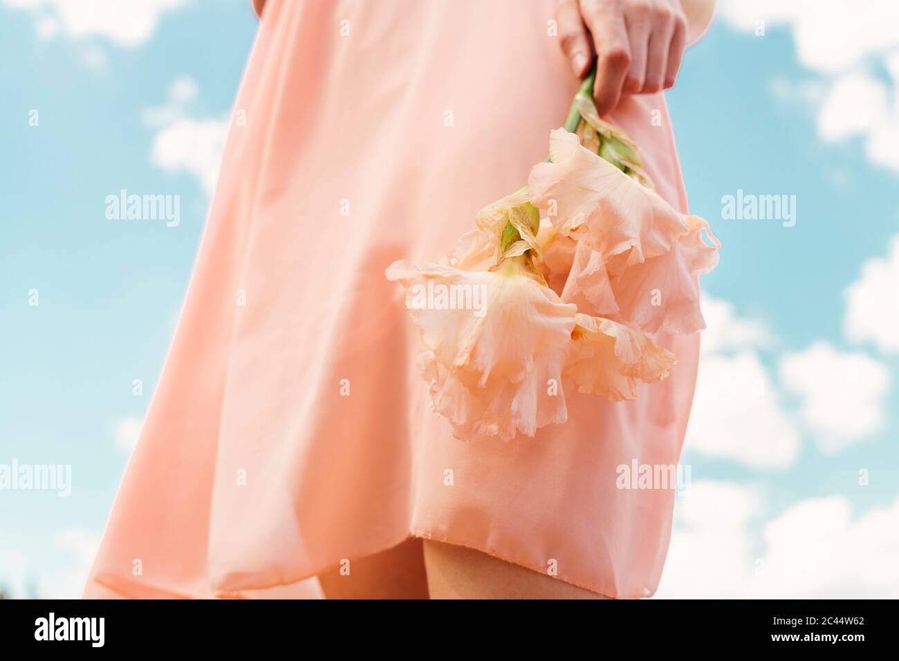 Mano della donna che tiene il fiore rosa Foto Stock