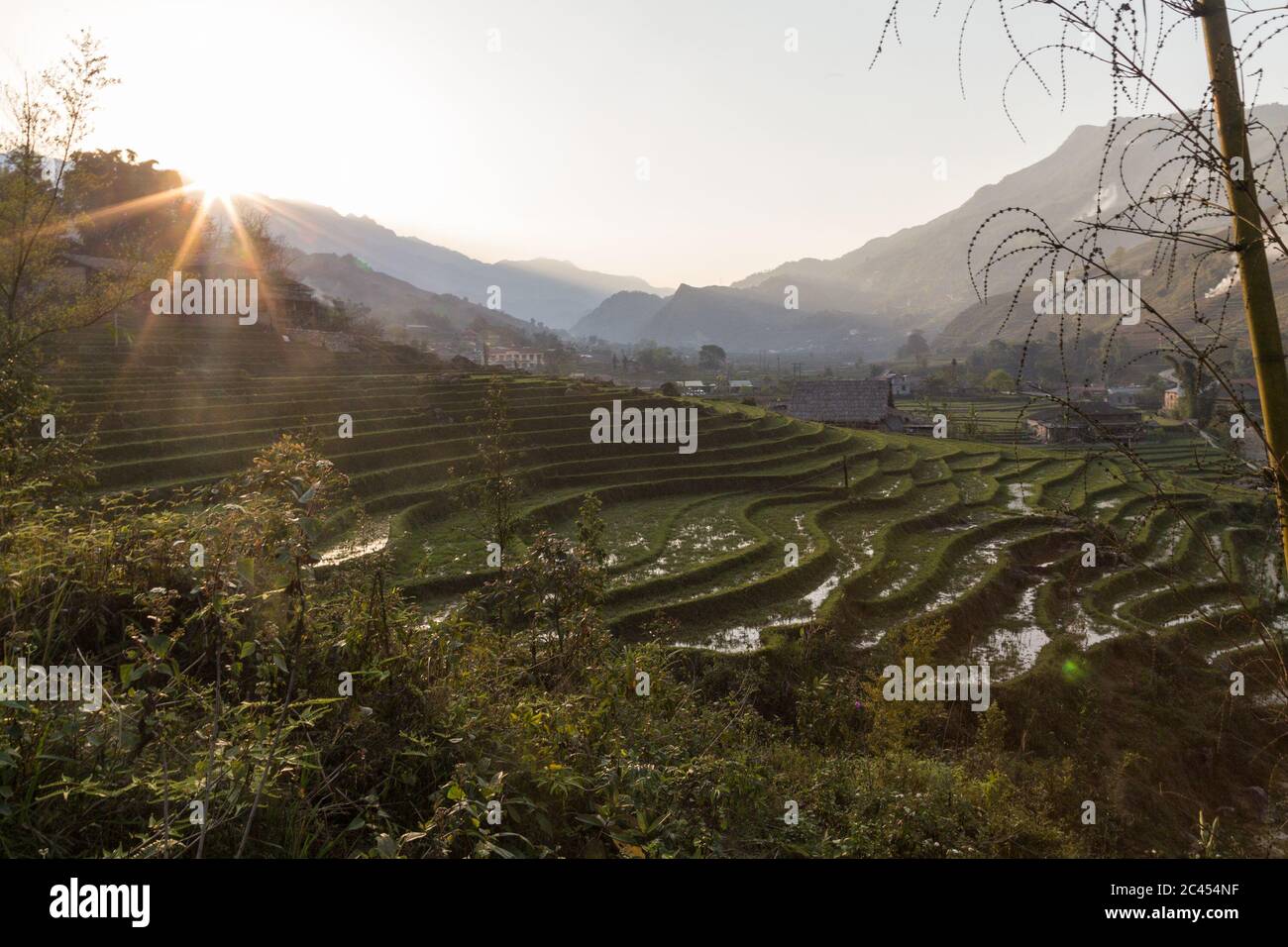 Una vista sulle piantagioni di riso e il paesaggio a Sapa nord Vietman. Foto Stock