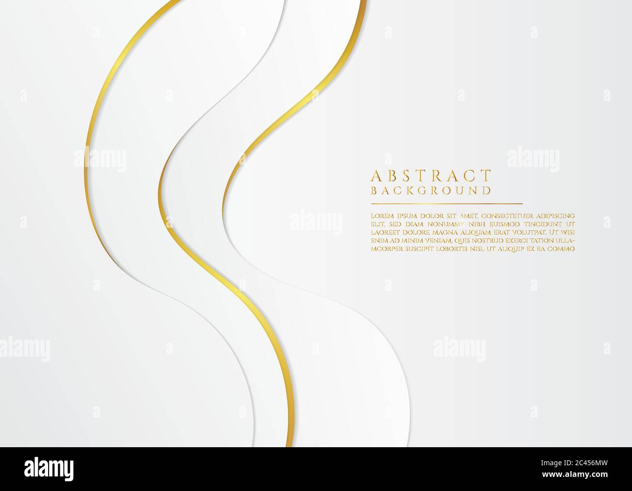 Il design a forma di flusso a onda fluida si sovrappone al concetto di lusso di livello bianco e oro. Illustrazione vettoriale. Illustrazione Vettoriale