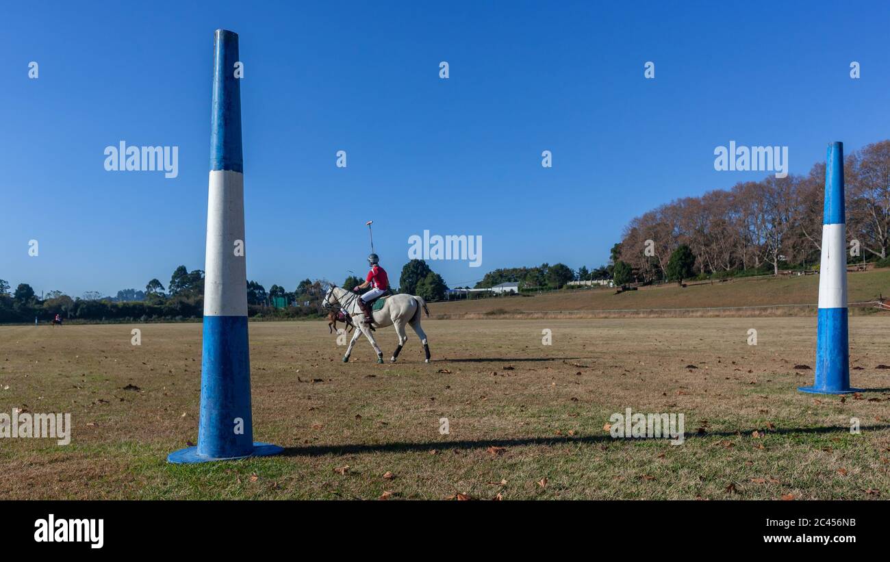 Polo piloti giocatori su campo closeup gol cielo blu una foto panoramica paesaggio. Foto Stock