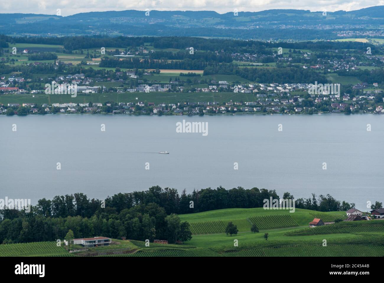 Zürisee-Zürichsee-Lago Zürich, Svizzera Foto Stock