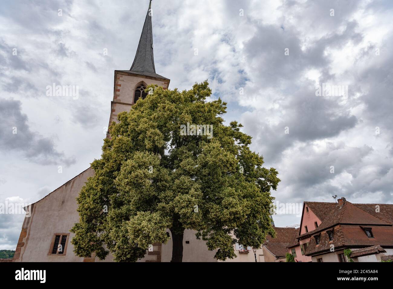 Mittelbergheim, Alsazia, Francia Foto Stock