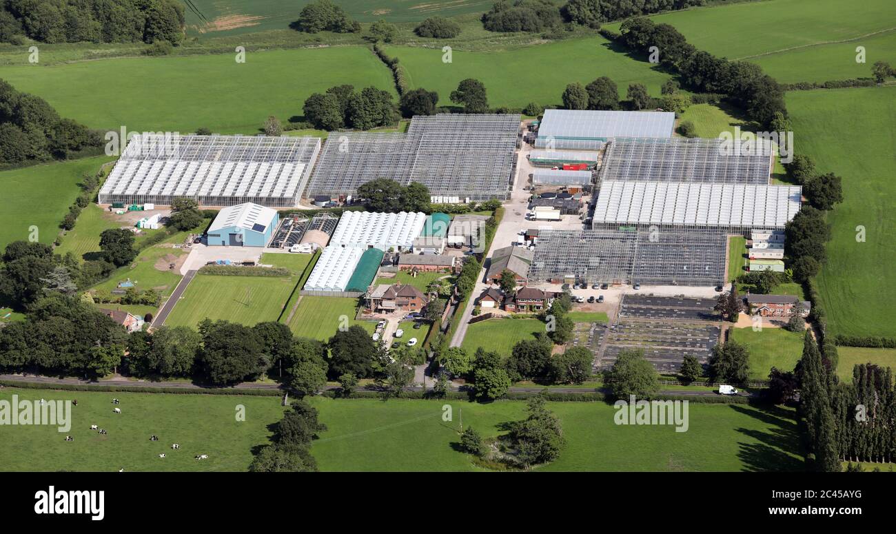 Veduta aerea di Les Halman Nurseries Ltd, vicino a Knutsford, Cheshire Foto Stock