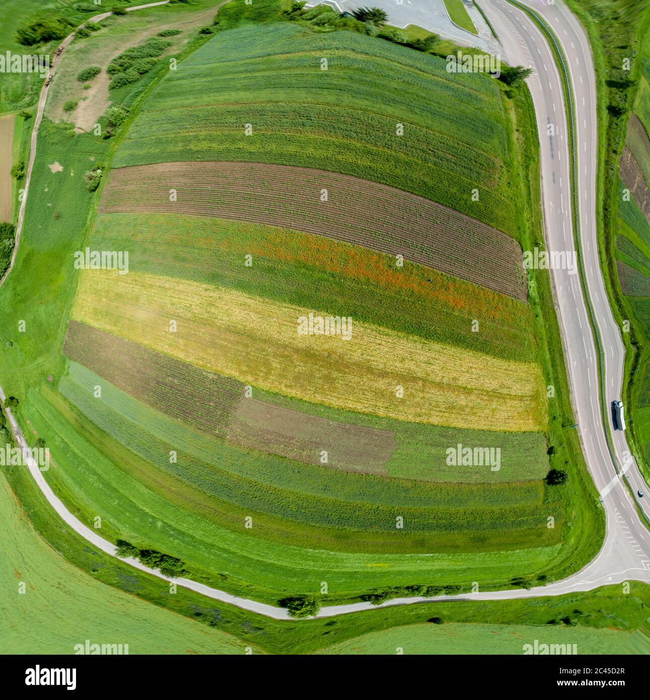 Paesaggio agricolo astratto. Vista dall'alto, panorama sferico. Campi variopinti e arabili con giovani germogli di grano in una giornata di sole Foto Stock