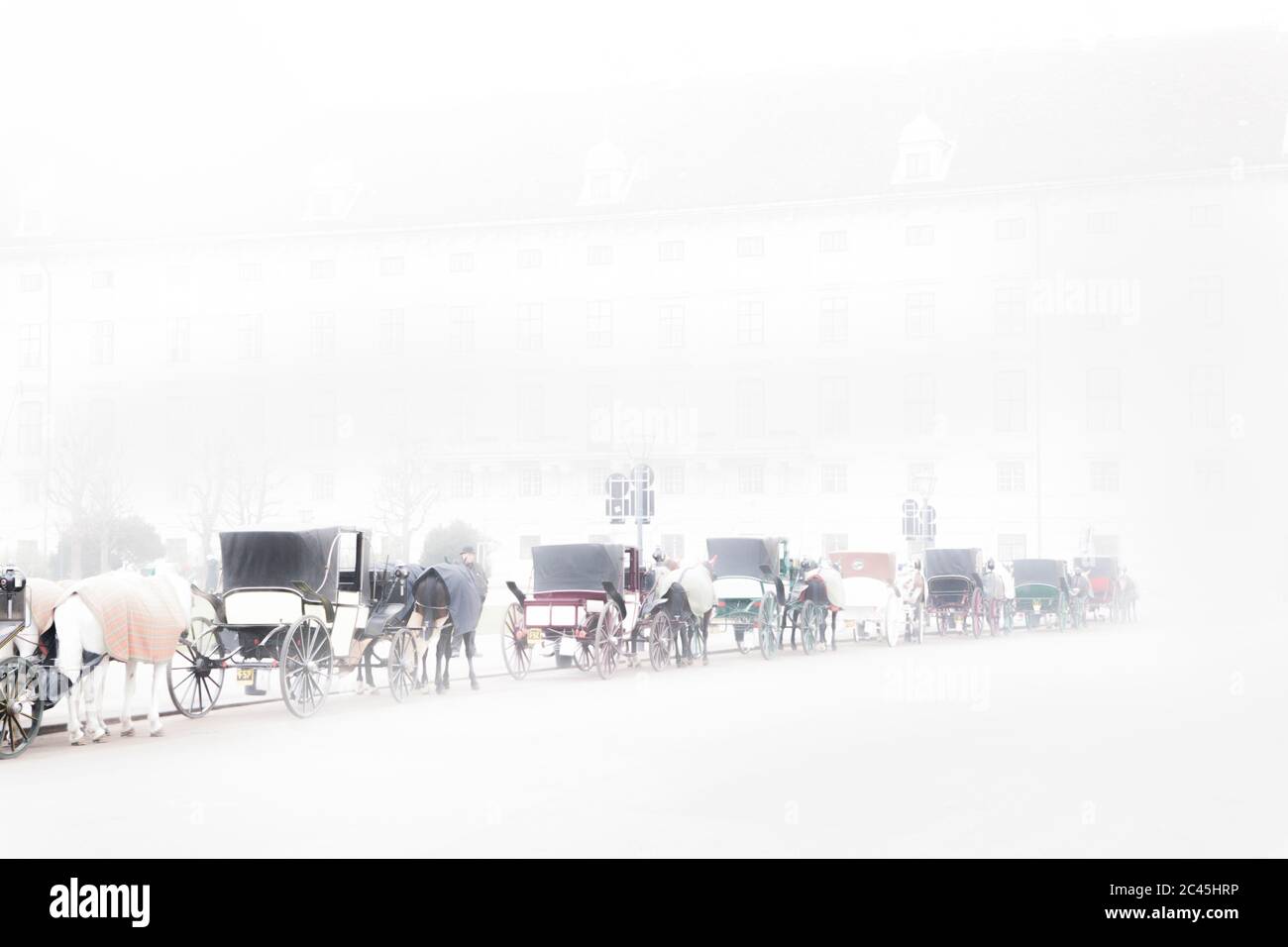 Fiaker a Heldenplatz, Vienna, Austria, chiave alta Foto Stock