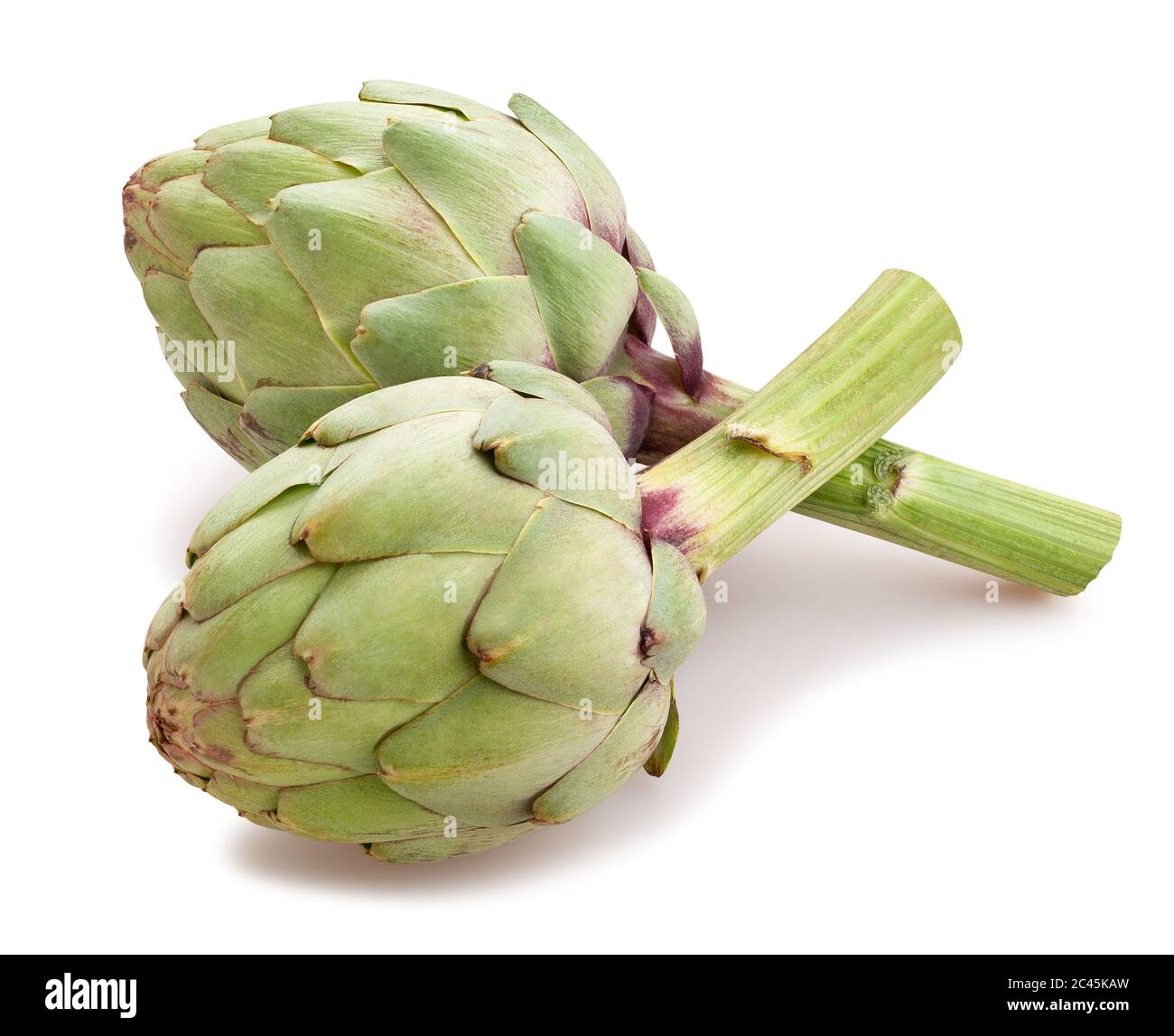 percorso carciofo isolato su bianco Foto Stock