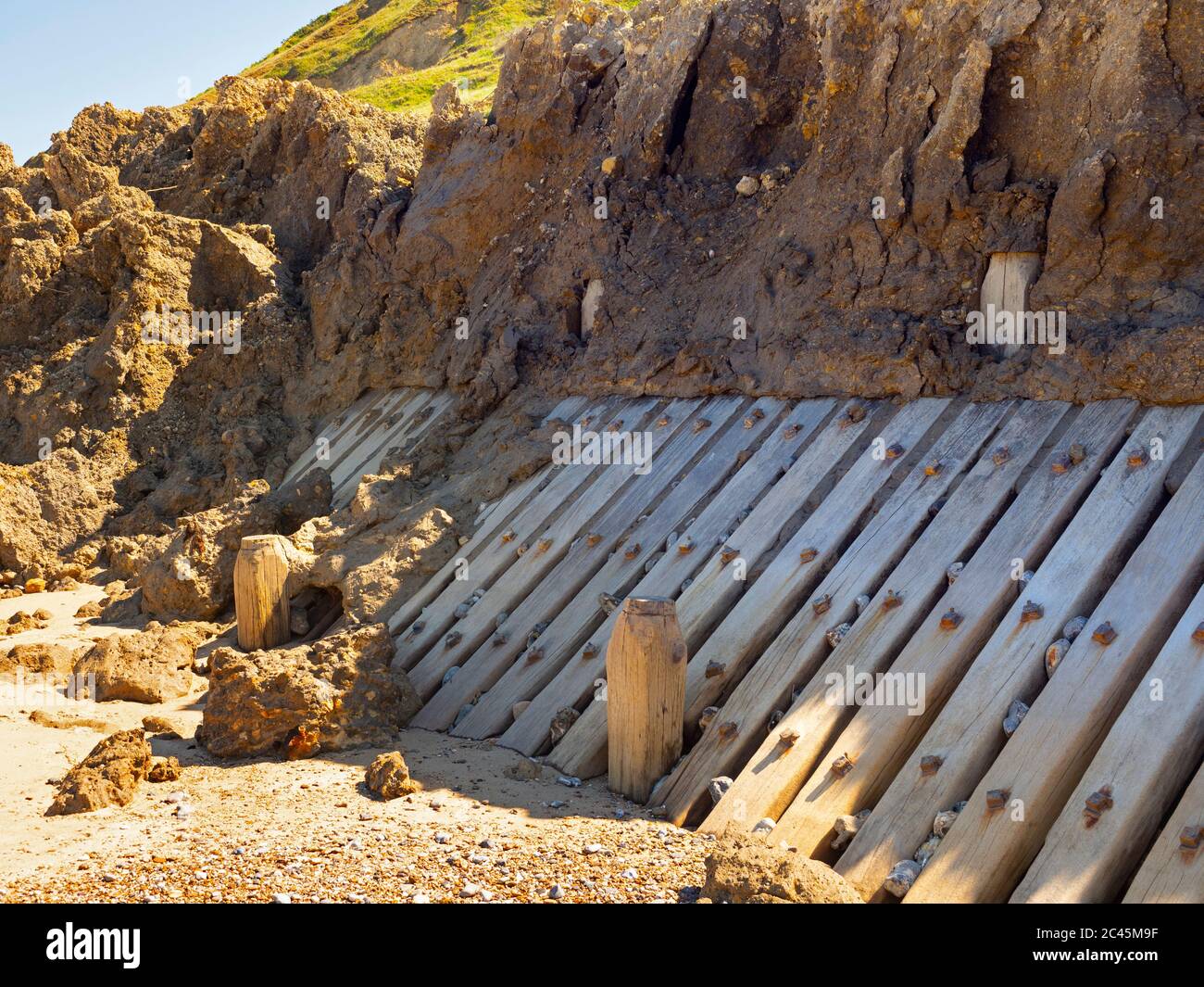 Crollo della scogliera invernale a Trimingham Norfolk UK giugno Foto Stock