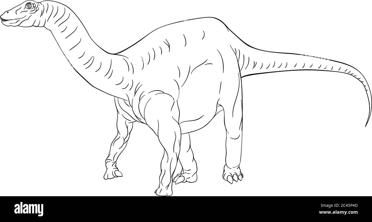 Dinosauro Diplodoco Brontosauro contorno colorazione Illustrazione Vettoriale