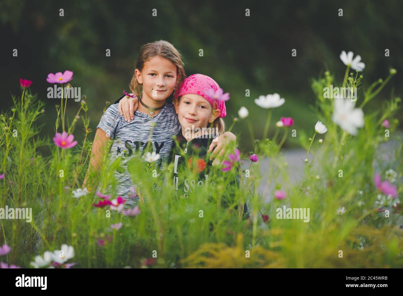 Ritratto di due ragazze in prato di fiori selvatici guardando la macchina fotografica Foto Stock