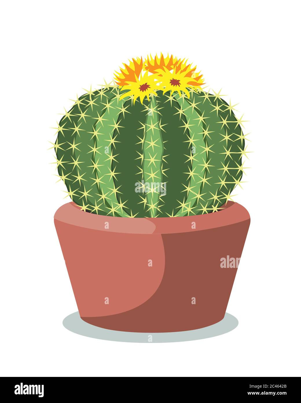 Grande palla di cactus in un vaso di ceramica rossa, pianta desertica decorativa chiamato notocactus o eriocactus. Isolamento vettoriale su bianco Illustrazione Vettoriale