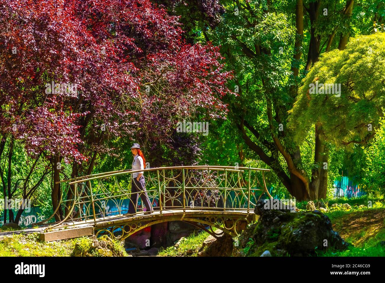 Italia Piemonte Torino Parco del Valentino Ponte in stile giapponese Foto Stock